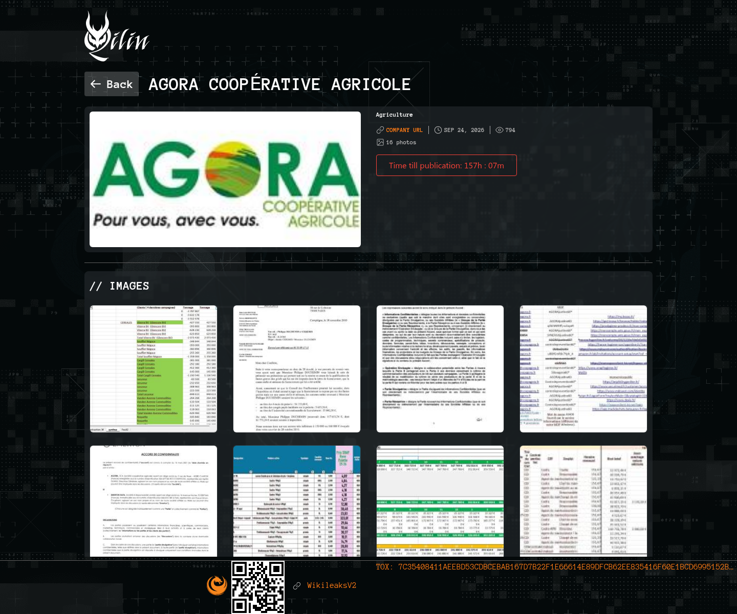 Cattura della pagina onion osservata